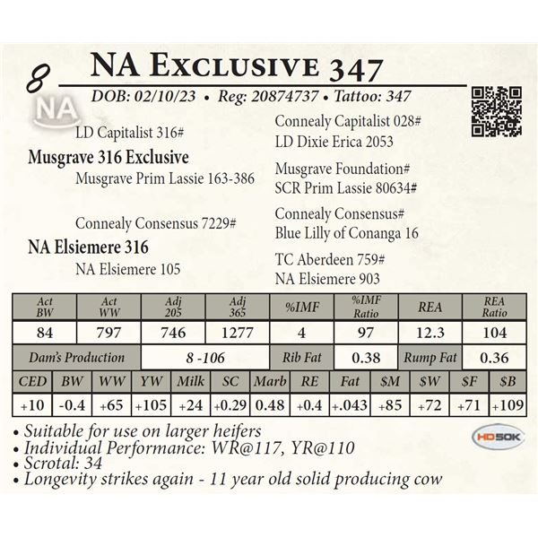 NA Exclusive 347