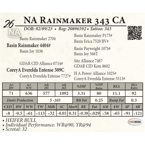 NA Rainmaker 343 CA