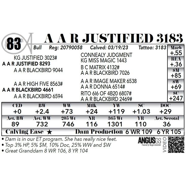 A A R JUSTIFIED 3183