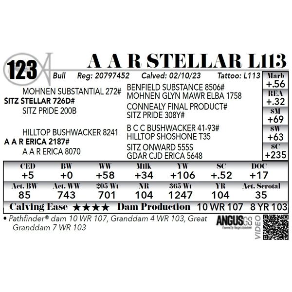 A A R STELLAR L113