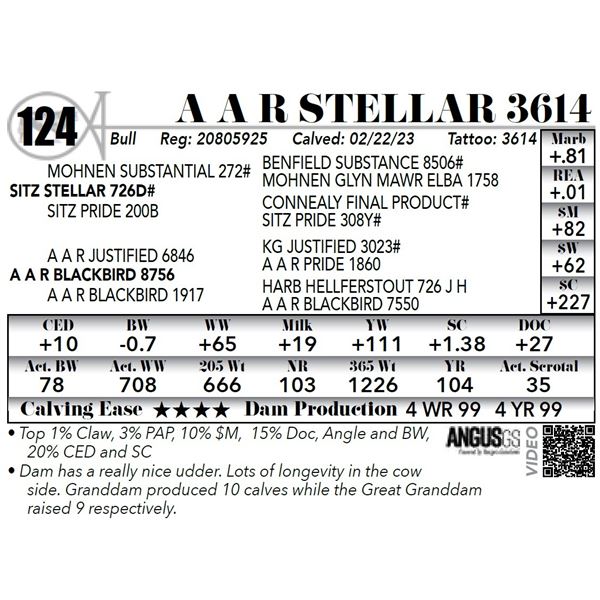 A A R STELLAR 3614