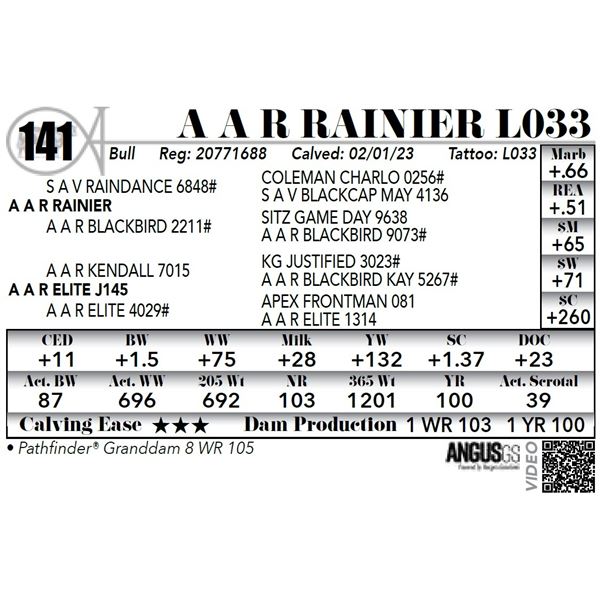 A A R RAINIER L033