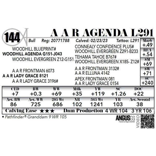 A A R AGENDA L291