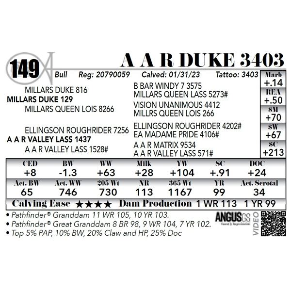 A A R DUKE 3403