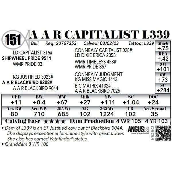 A A R CAPITALIST L339