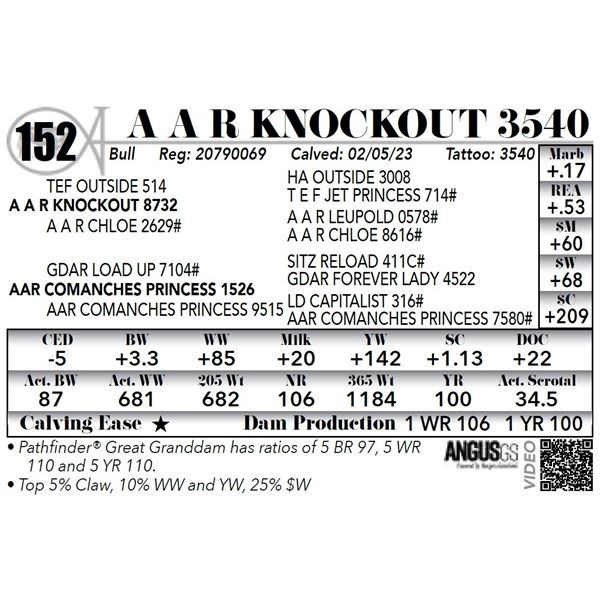 A A R KNOCKOUT 3540