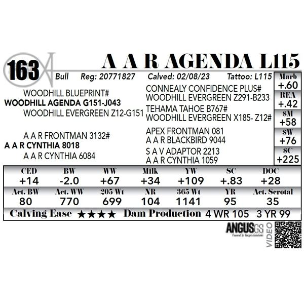 A A R AGENDA L115