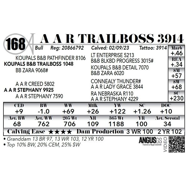 A A R TRAILBOSS 3914