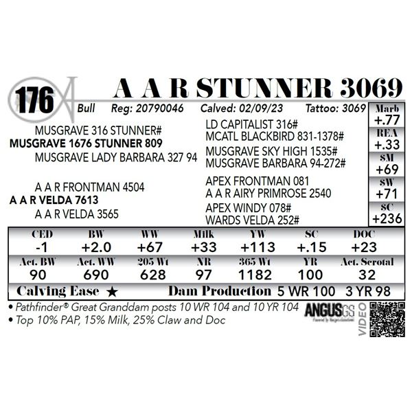 A A R STUNNER 3069