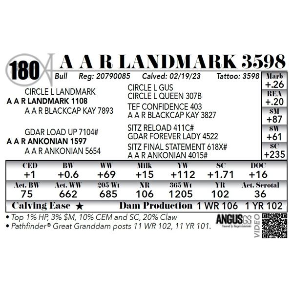 A A R LANDMARK 3598