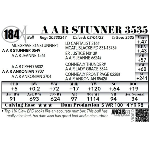 A A R STUNNER 3535