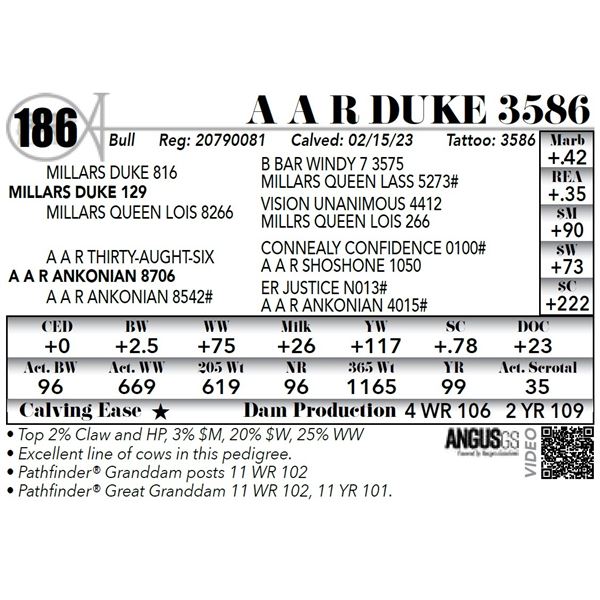 A A R DUKE 3586