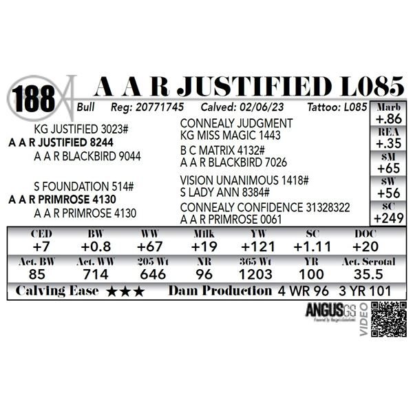 A A R JUSTIFIED L085