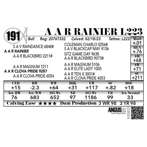 A A R RAINIER L223