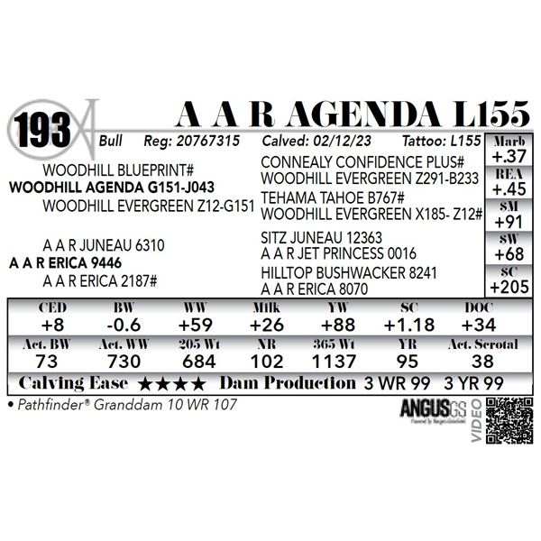 A A R AGENDA L155