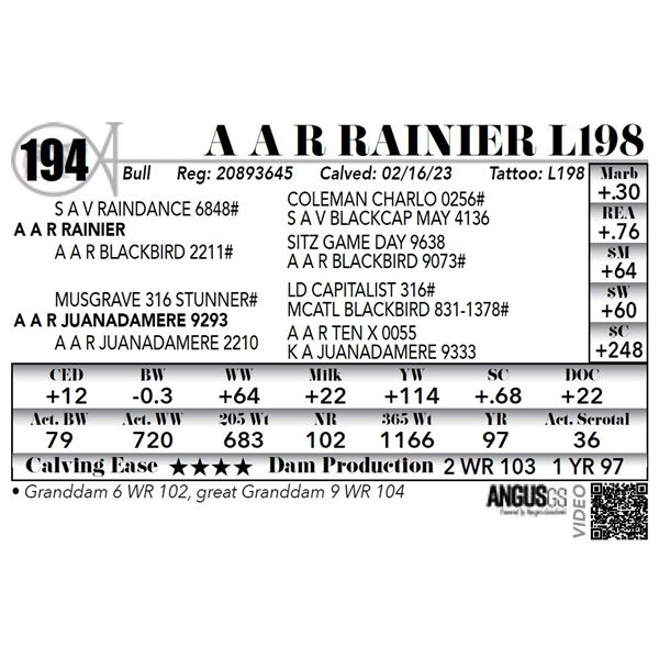 A A R RAINIER L198