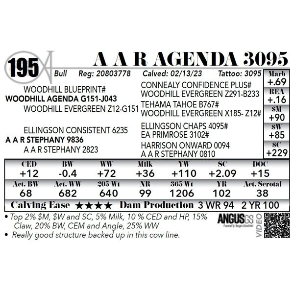 A A R AGENDA 3095