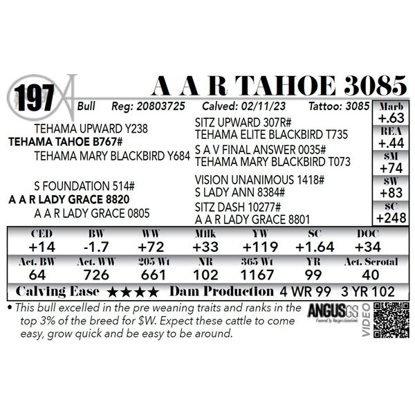 A A R TAHOE 3085