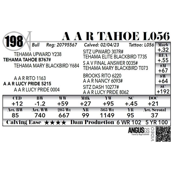 A A R TAHOE L056