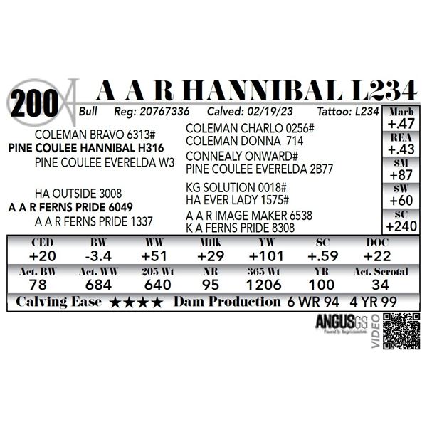 A A R HANNIBAL L234