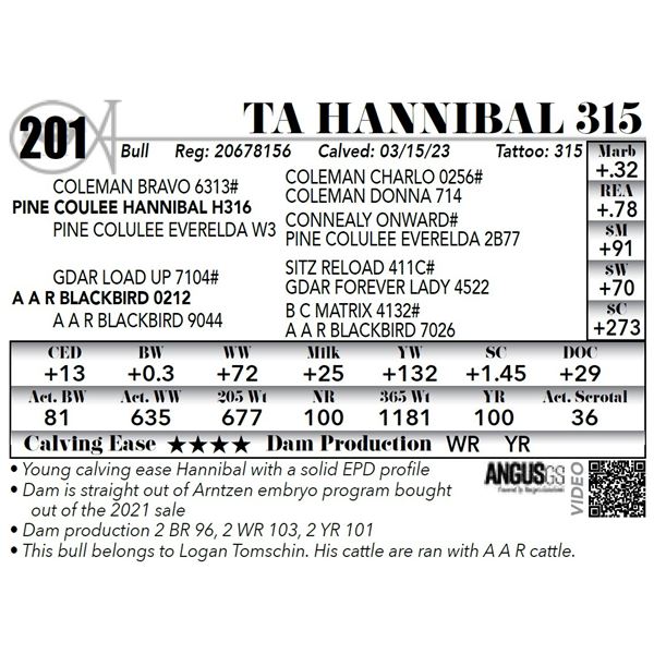 TA HANNIBAL 315