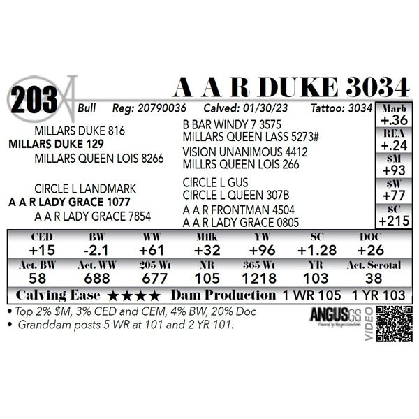 A A R DUKE 3034