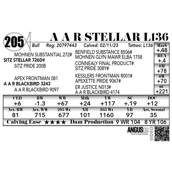 A A R STELLAR L136