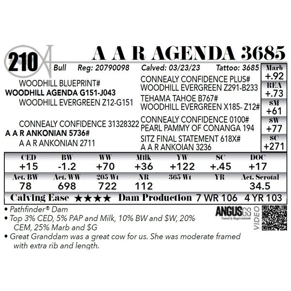 A A R AGENDA 3685