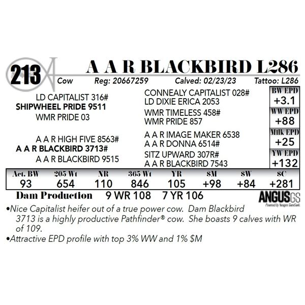 A A R BLACKBIRD L286