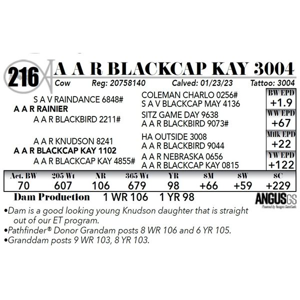 A A R BLACKCAP KAY 3004