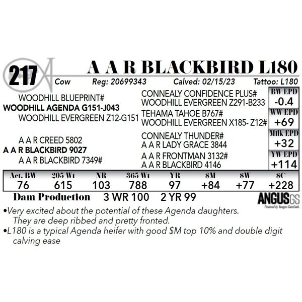 A A R BLACKBIRD L180