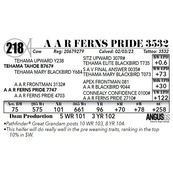 A A R FERNS PRIDE 3532