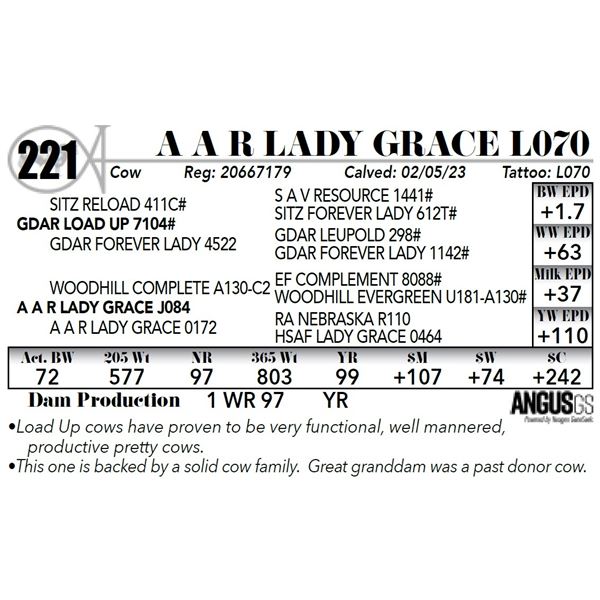 A A R LADY GRACE L070