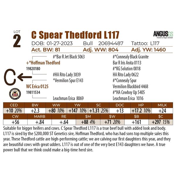 C Spear Thedford L117