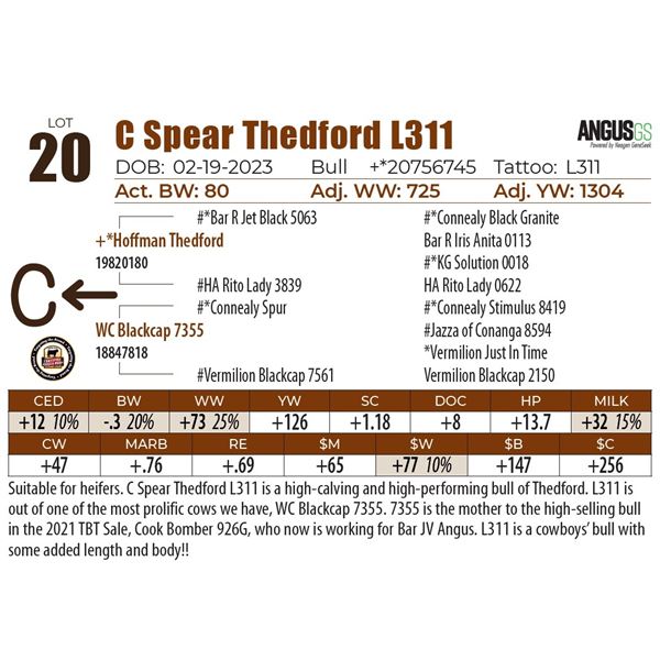 C Spear Thedford L311