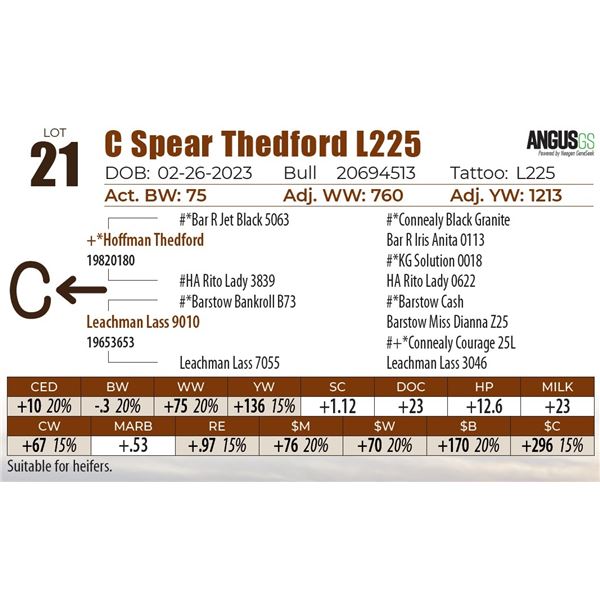 C Spear Thedford L225