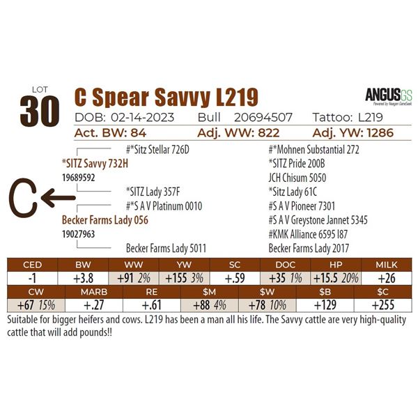 C Spear Savvy L219