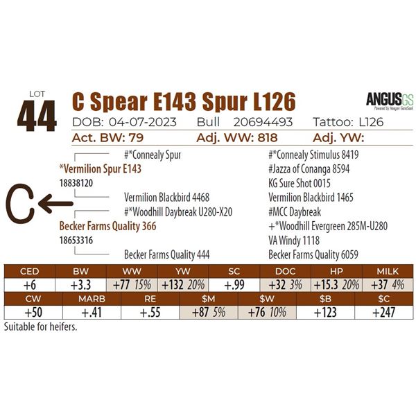 C Spear E143 Spur L126