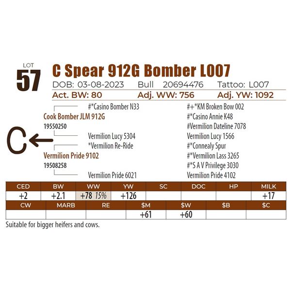 C Spear 912G Bomber L007