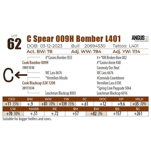 C Spear 009H Bomber L401