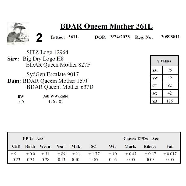 BDAR Queen Mother 361L