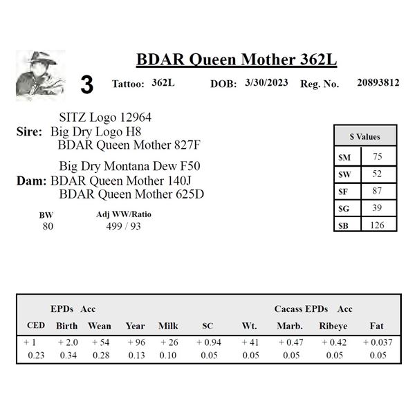 BDAR Queen Mother 362L