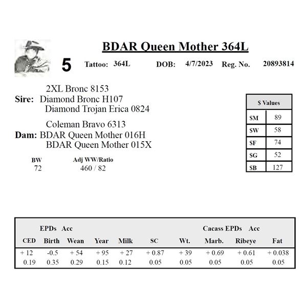 BDAR Queen Mother 364L