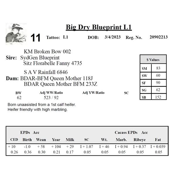 Big Dry Blueprint L1