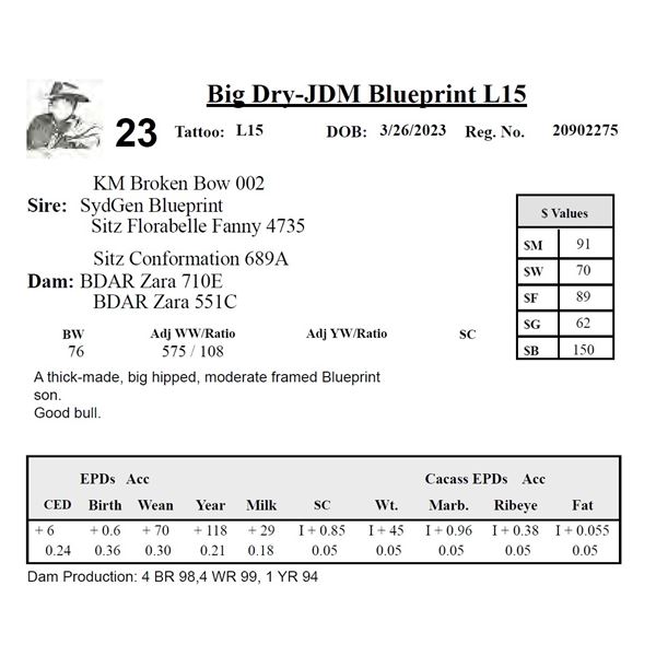 Big Dry-JDM Blueprint L15