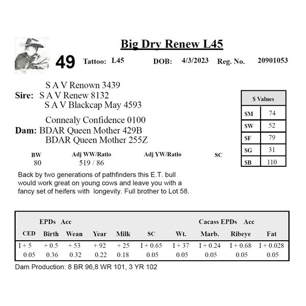 Big Dry Renew L45