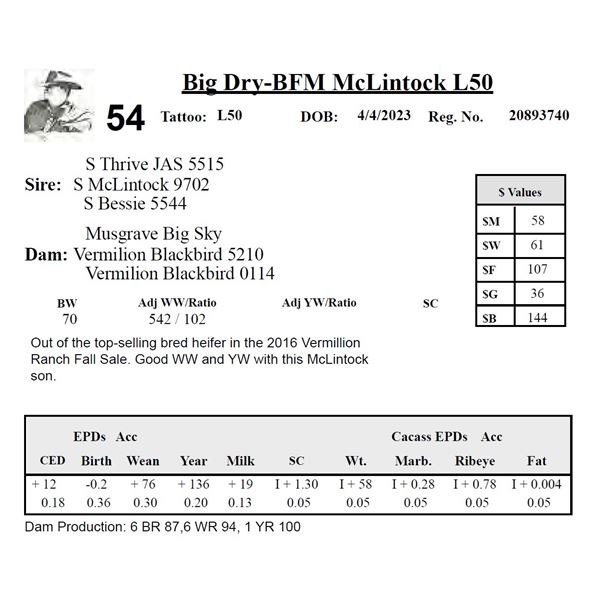 Big Dry-BFM McLintock L50