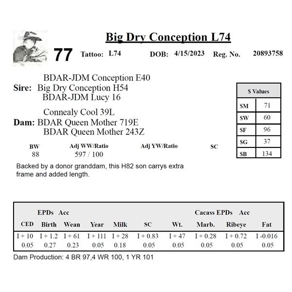 Big Dry Conception L74