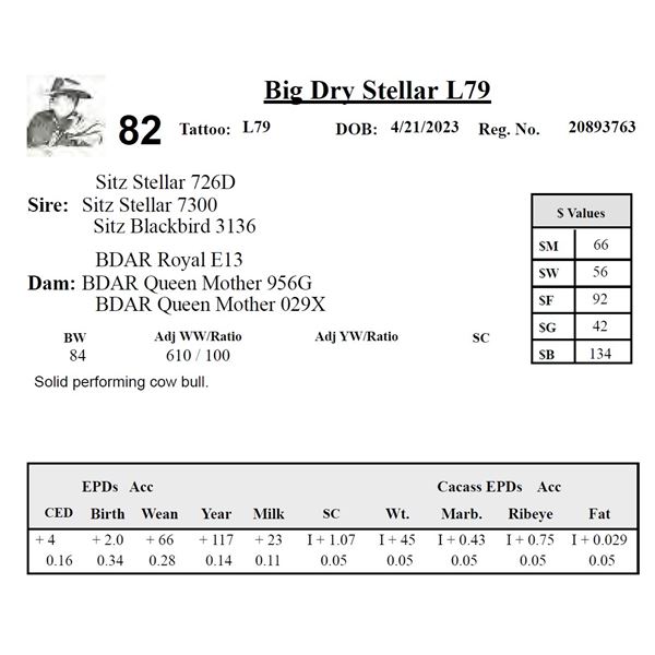 Big Dry Stellar L79