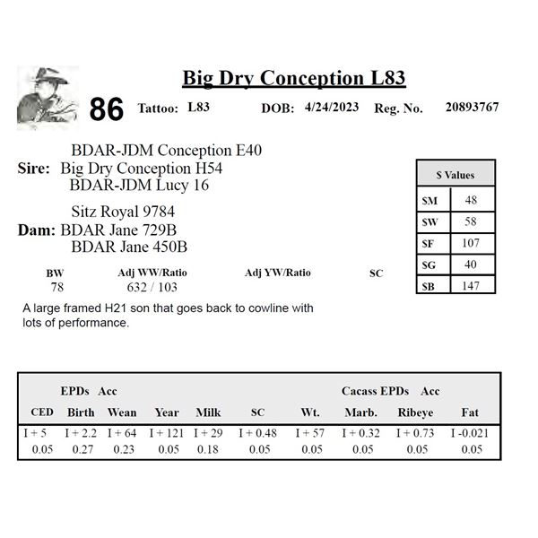 Big Dry Conception L83